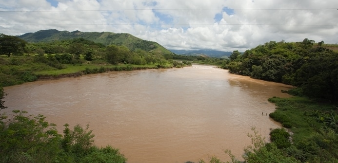 Área de proteção ambiental (APA) do Guandu